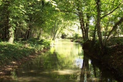 Agrandir l'image 139213