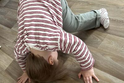 Agrandir l'image 140053