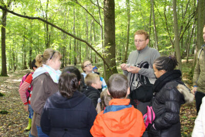 Agrandir l'image 7372