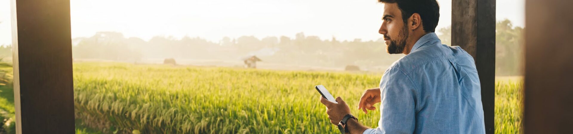 Un homme barbu en chemise bleue tient un smartphone tout en regardant au loin, appuyé contre une structure en bois, avec un champ de riz verdoyant en arrière-plan éclairé par le soleil couchant.