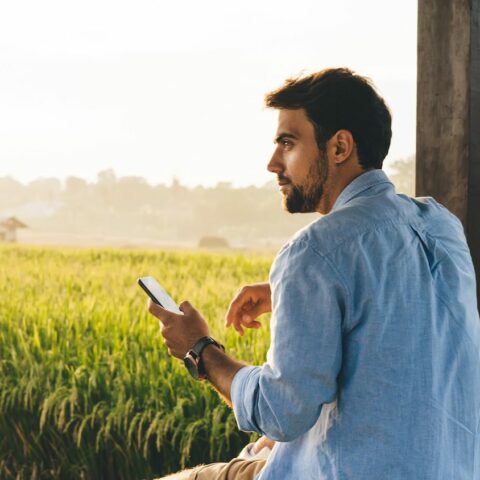 Un homme barbu en chemise bleue tient un smartphone tout en regardant au loin, appuyé contre une structure en bois, avec un champ de riz verdoyant en arrière-plan éclairé par le soleil couchant.