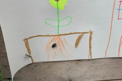 Agrandir l'image 44682