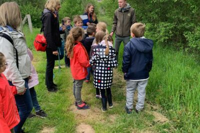 Agrandir l'image 44665