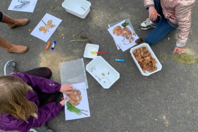 Agrandir l'image 44664