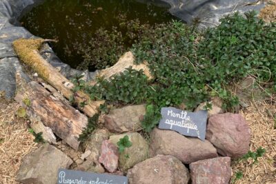 Agrandir l'image 44673