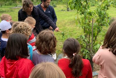 Agrandir l'image 44672