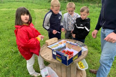 Agrandir l'image 44671