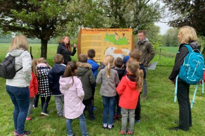 Agrandir l'image 44662