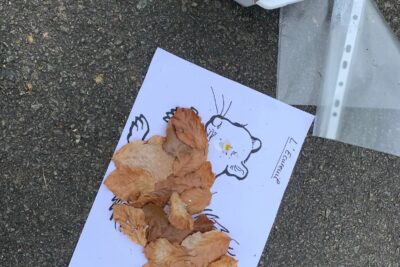 Agrandir l'image 44663