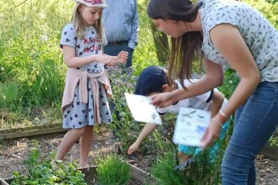 Agrandir l'image 44710