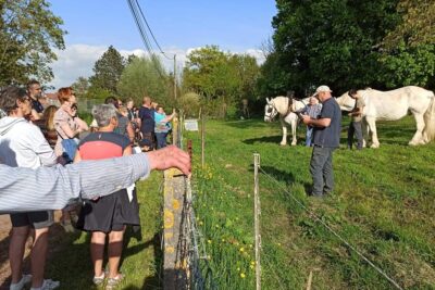 Agrandir l'image 44708