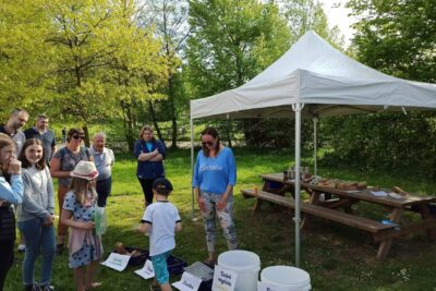 Agrandir l'image 44711