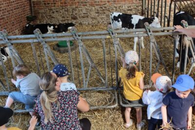 Agrandir l'image 123140