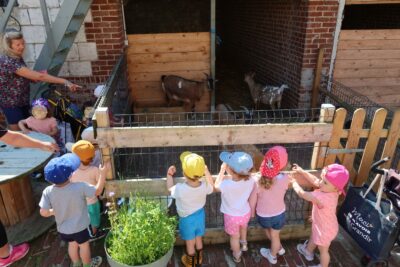 Agrandir l'image 123142