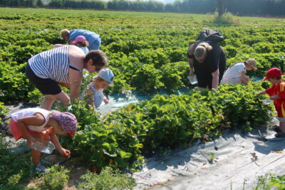 Agrandir l'image 123137