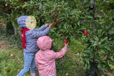 Agrandir l'image 125748