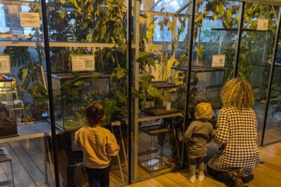 Agrandir l'image 126891