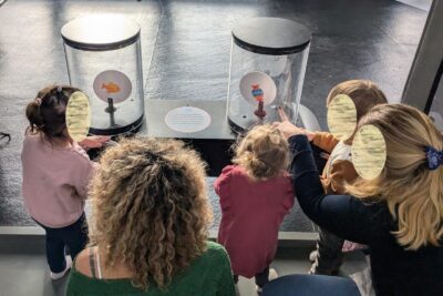 Agrandir l'image 126889