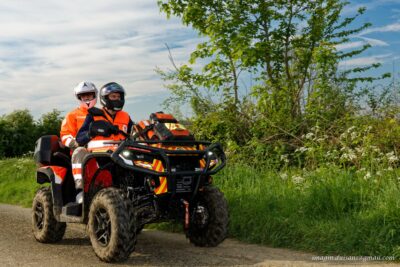 Agrandir l'image 127879