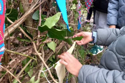 Agrandir l'image 127827