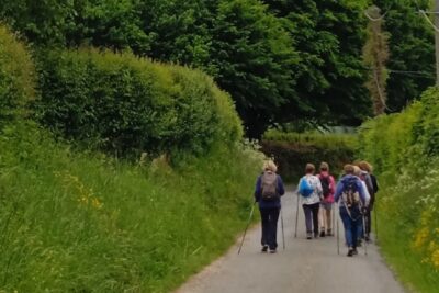 Agrandir l'image 133283