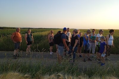 Agrandir l'image 133298