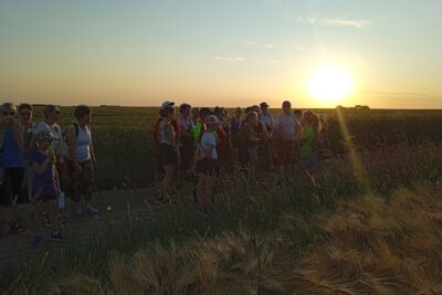 Agrandir l'image 133295