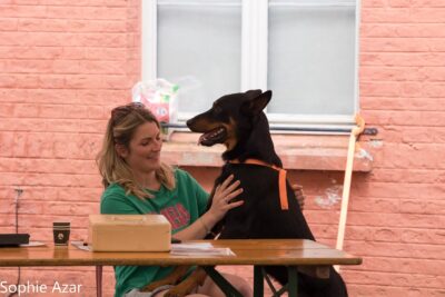 Agrandir l'image 132932