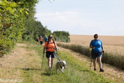 Agrandir l'image 133072