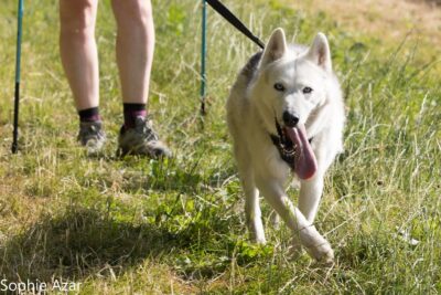 Agrandir l'image 133073