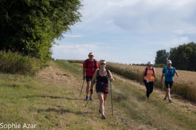 Agrandir l'image 133076