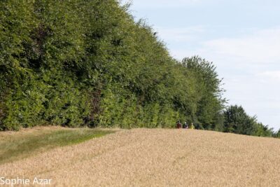 Agrandir l'image 133078