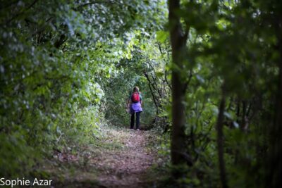 Agrandir l'image 133060