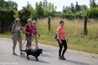 Agrandir l'image 133116