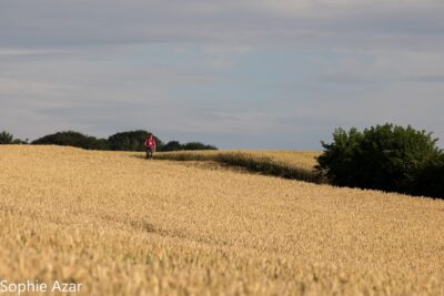 Agrandir l'image 132904