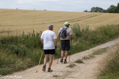 Agrandir l'image 133111