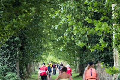 Agrandir l'image 132822