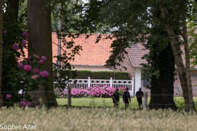 Agrandir l'image 133107