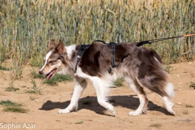 Agrandir l'image 132963