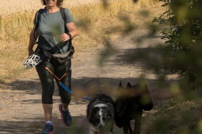 Agrandir l'image 132954