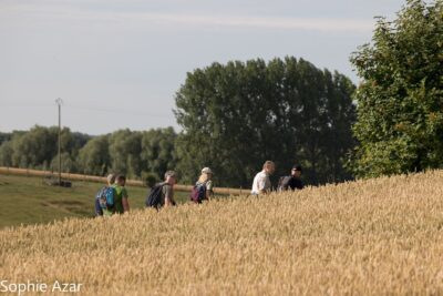 Agrandir l'image 133041