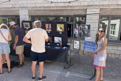 Agrandir l'image 133357