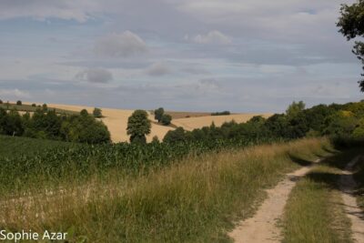 Agrandir l'image 132742