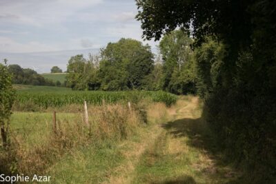 Agrandir l'image 132746