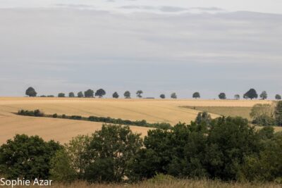 Agrandir l'image 132740