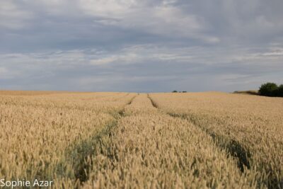 Agrandir l'image 132738