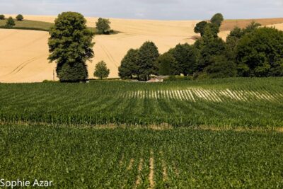 Agrandir l'image 132748