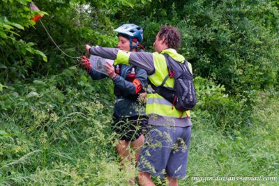 Agrandir l'image 136013